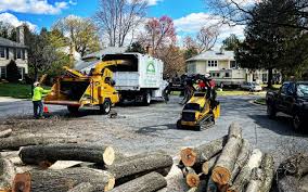 Seasonal Cleanup (Spring/Fall) in Ridgeville, SC