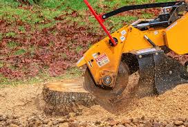 Lawn Maintenance Plans in Ridgeville, SC